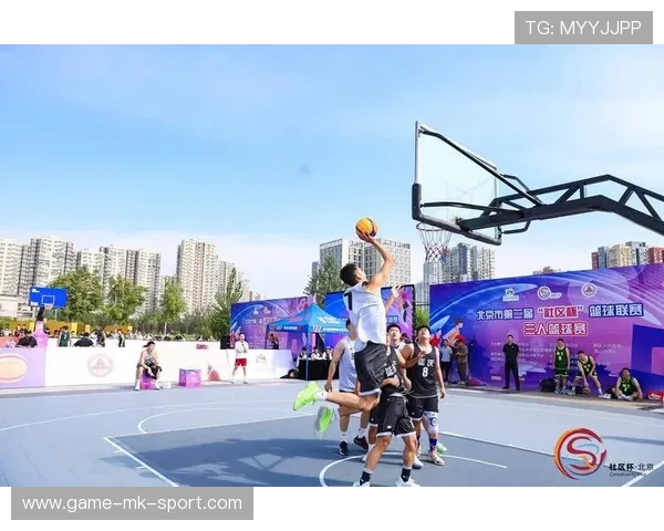 篮球在中国社区家庭友好型空间设计中的功能需求研究，社区篮球发展现状