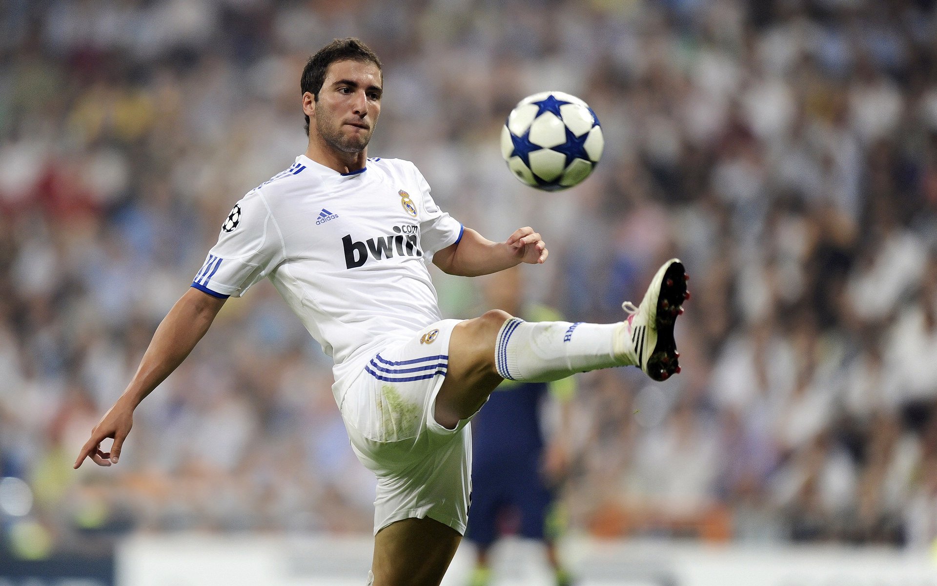 “武术之美：高新体育中心赛场上的身手与气质共舞”